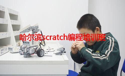 哈尔滨scratch编程培训班