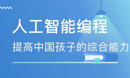 北京大兴区少儿编程科技素质培训学校