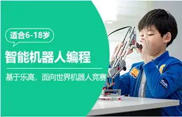 沈阳城东湖街道童程童美中学高阶硬件编程就业班