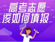 洛阳偃师市志愿填报培训学费多少钱