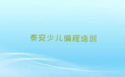 泰安岱岳区孩子编程培训班怎么选择好的榜单新排名一览推荐