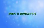 昆明盘龙区小儿编程怎么学快速入门推荐推荐十大排名一览表