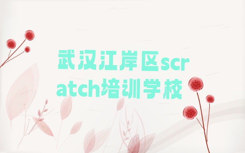 武汉江岸区scratch培训学校