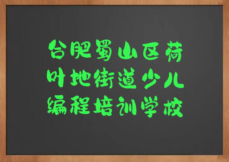 合肥蜀山区荷叶地街道少儿编程培训学校