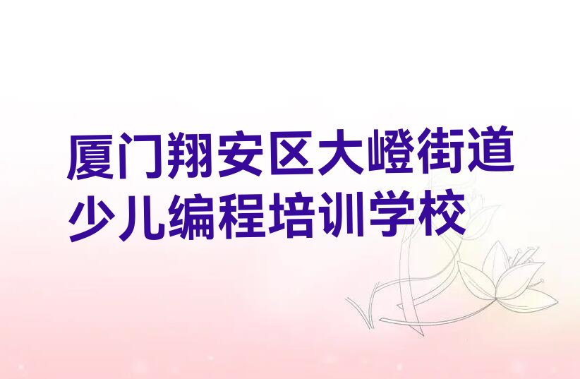 厦门翔安区大嶝街道少儿编程培训学校