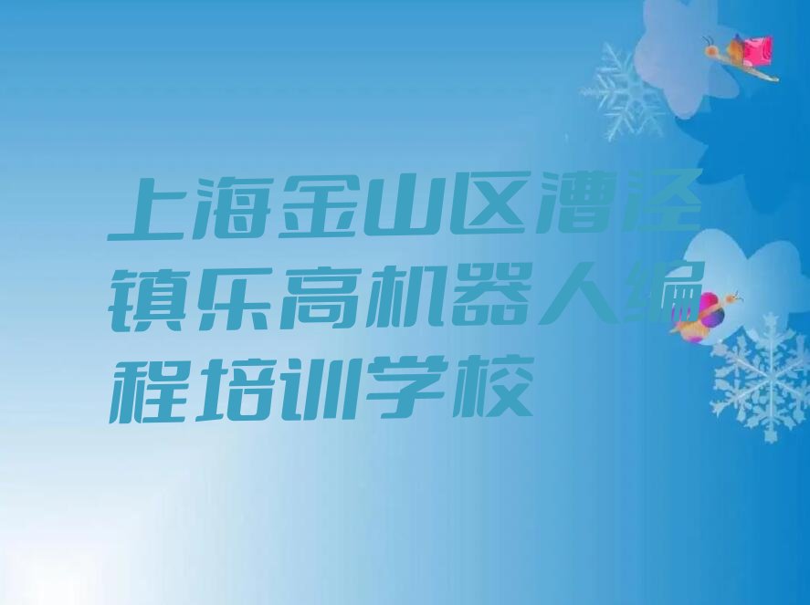 上海金山区漕泾镇乐高机器人编程培训学校