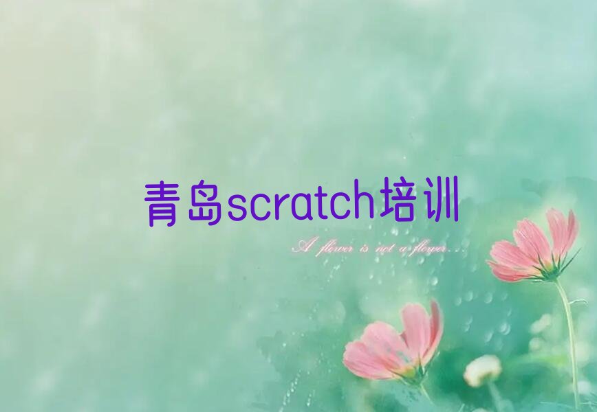 青岛李沧区scratch培训学校