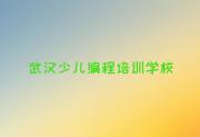 武汉市江汉区幼儿编程培训班