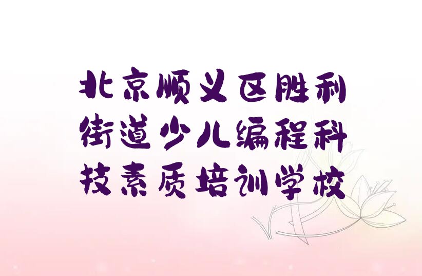 北京顺义区胜利街道少儿编程科技素质培训学校