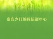 哪家泰安岱岳区房村镇少儿编程Python培训班效果好名单今日一览排行榜