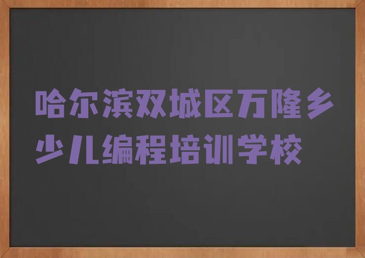 哈尔滨双城区万隆乡少儿编程培训学校