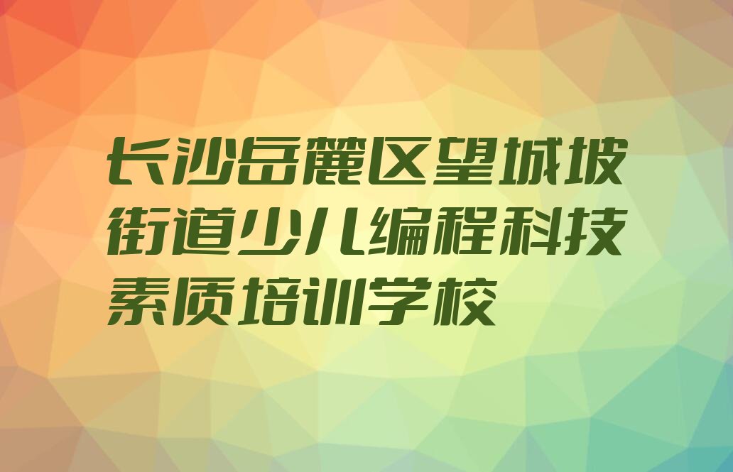 少儿编程科技素质