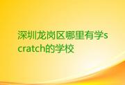 深圳龙岗区哪里有学scratch的学校