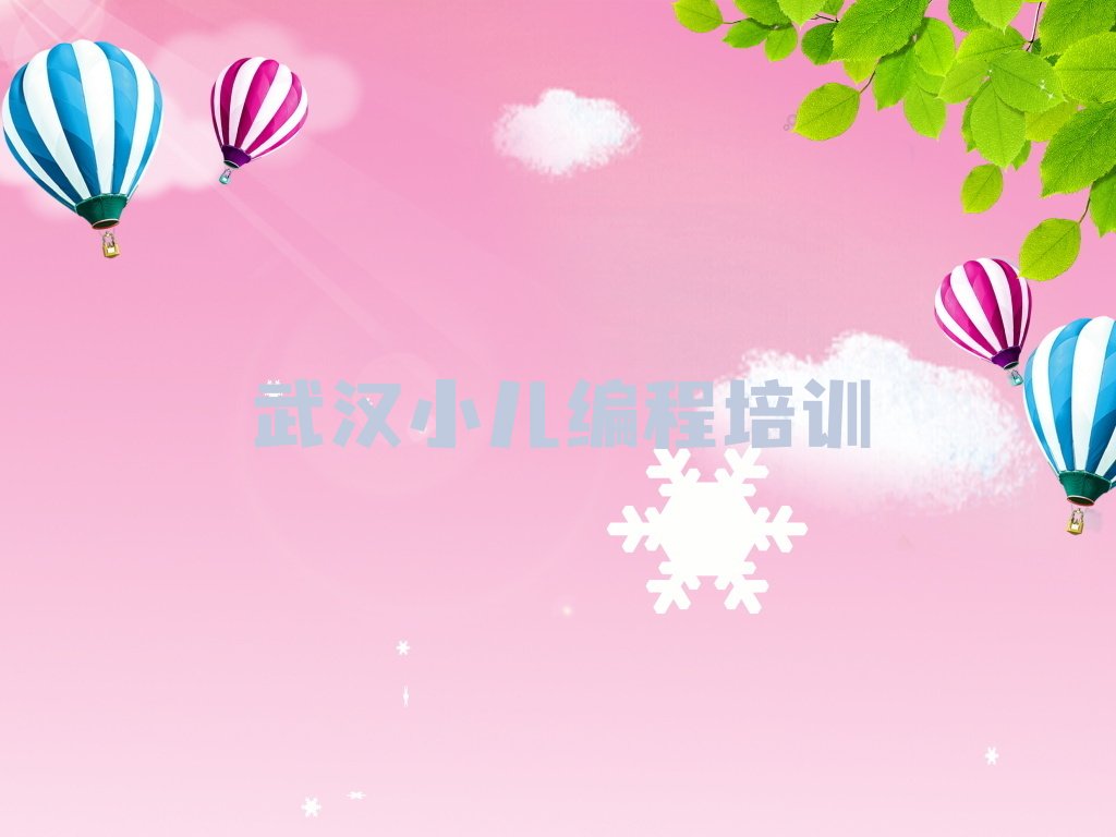 武汉黄陂区李集街道少儿编程培训学校