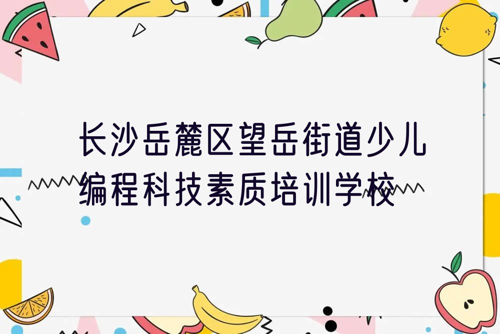 少儿编程科技素质